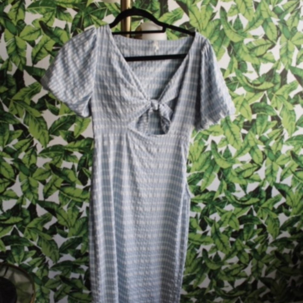 Urban Outfitters Blue Gingham dress